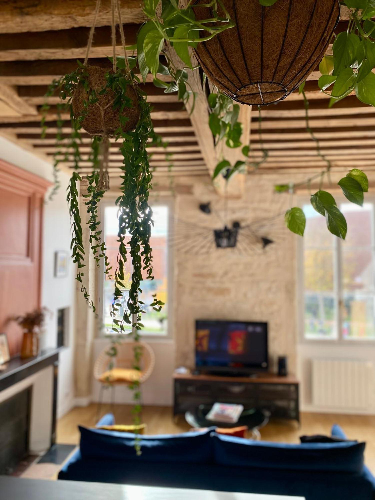 Apartament Les Jardins De La Cite Dijon Zewnętrze zdjęcie